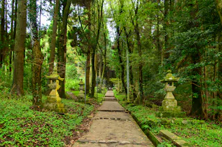 Kamishikimi