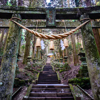 Kamishikimi Kamishikimi