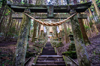 Kamishikimi