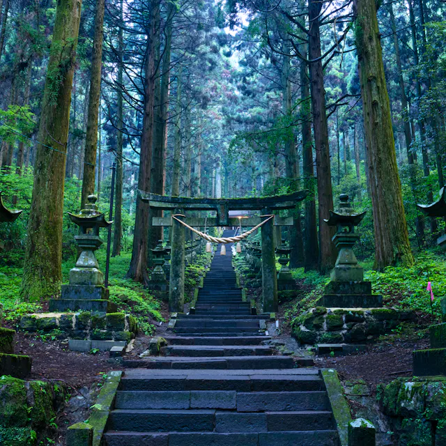 Kamishikimi Kamishikimi