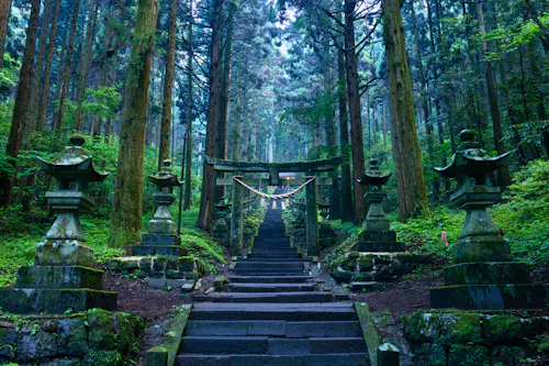 Kamishikimi