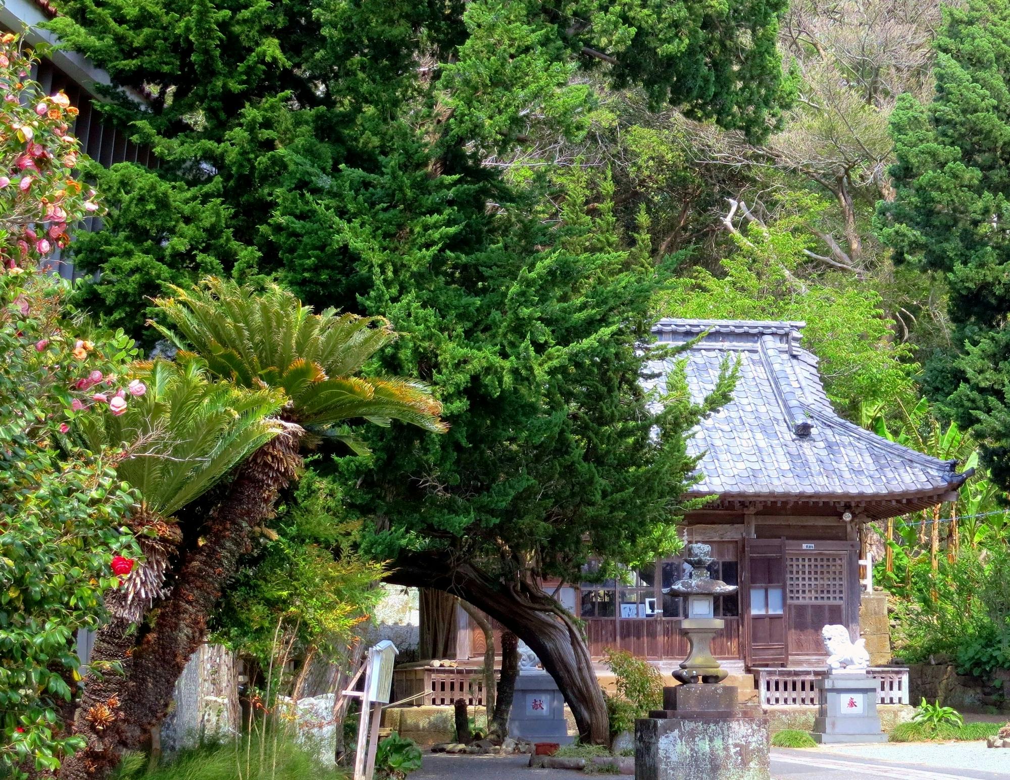 Kakisaki
