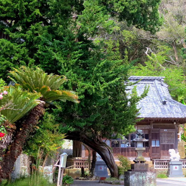 Kakisaki Kakisaki