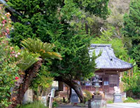 Kakisaki