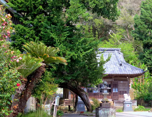 Kakisaki