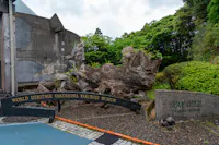 Yakusugi Nature Museum