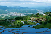 Arita