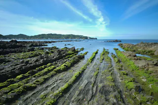 Kada