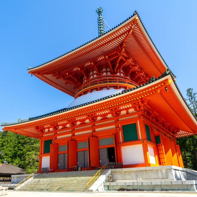 Kongoboji Kongoboji
