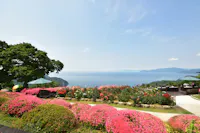 Mihama