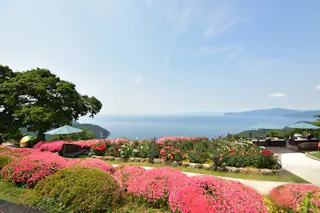 Mihama