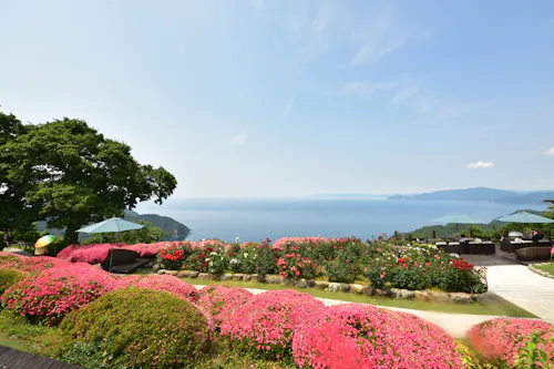 Mihama