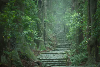 Nachisan