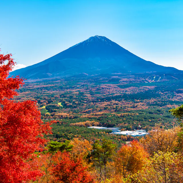 Narusawa Narusawa