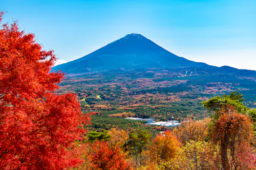 Narusawa