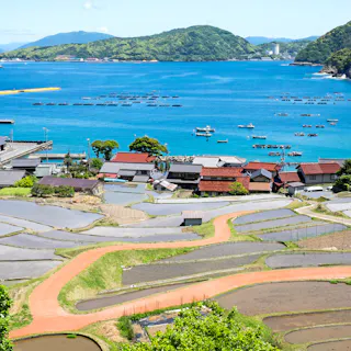 Takahama Takahama