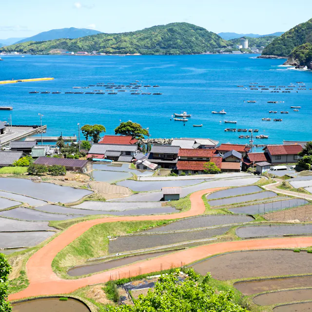 Takahama Takahama