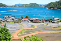 Takahama