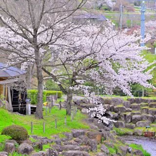 Tsukiyono Tsukiyono