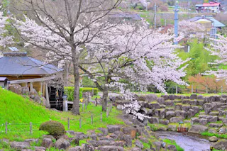 Tsukiyono