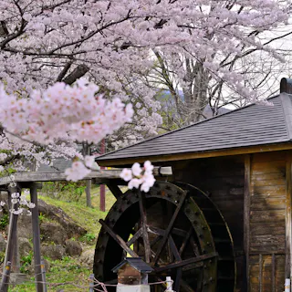 Tsukiyono Tsukiyono