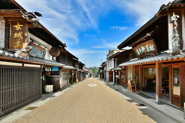 Iwamura Castle Town