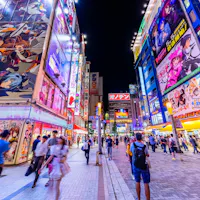 Akihabara Akihabara