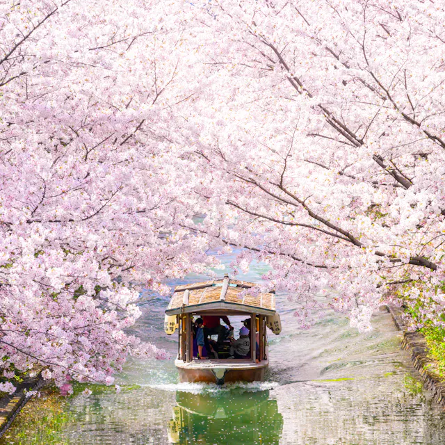 Fushimi Fushimi