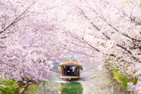 Fushimi