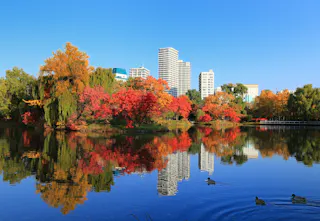Nakajima Park
