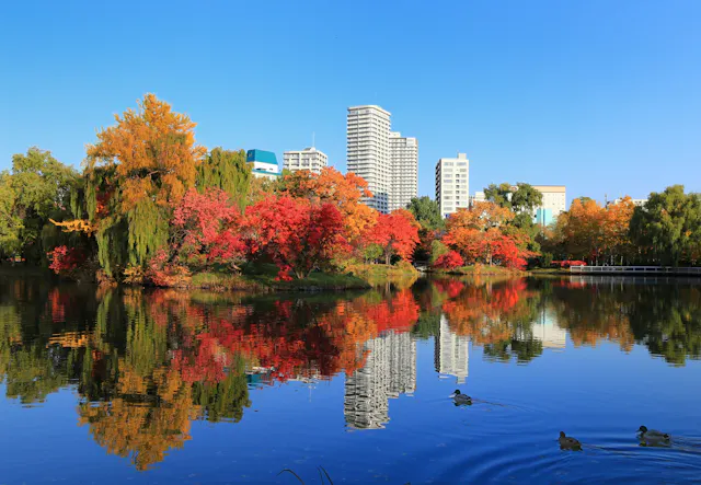 Nakajima Park