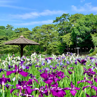 Okazaki Okazaki