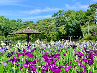 Okazaki