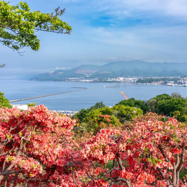 Temiya Park Temiya Park
