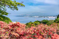 Temiya Park