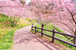Kyonan
