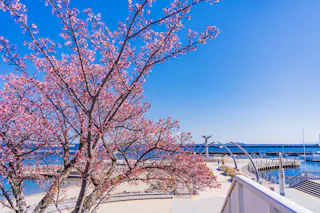Nagisacho