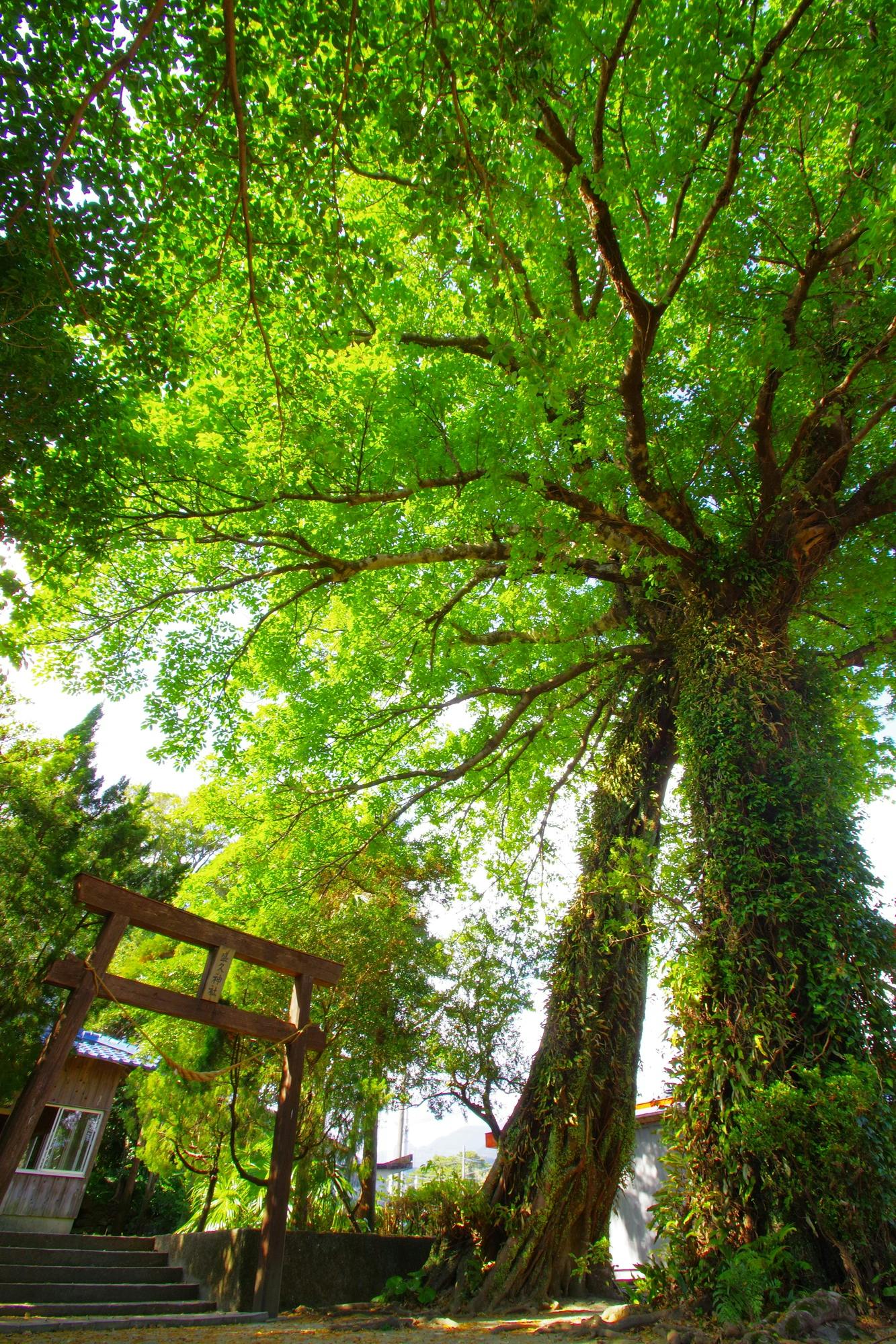 Morihisa Shrine