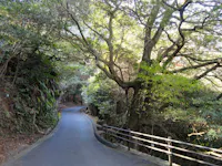 Miyajima Natural Botanical Garden