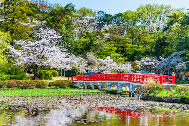 Iwatsuki Joshi Park