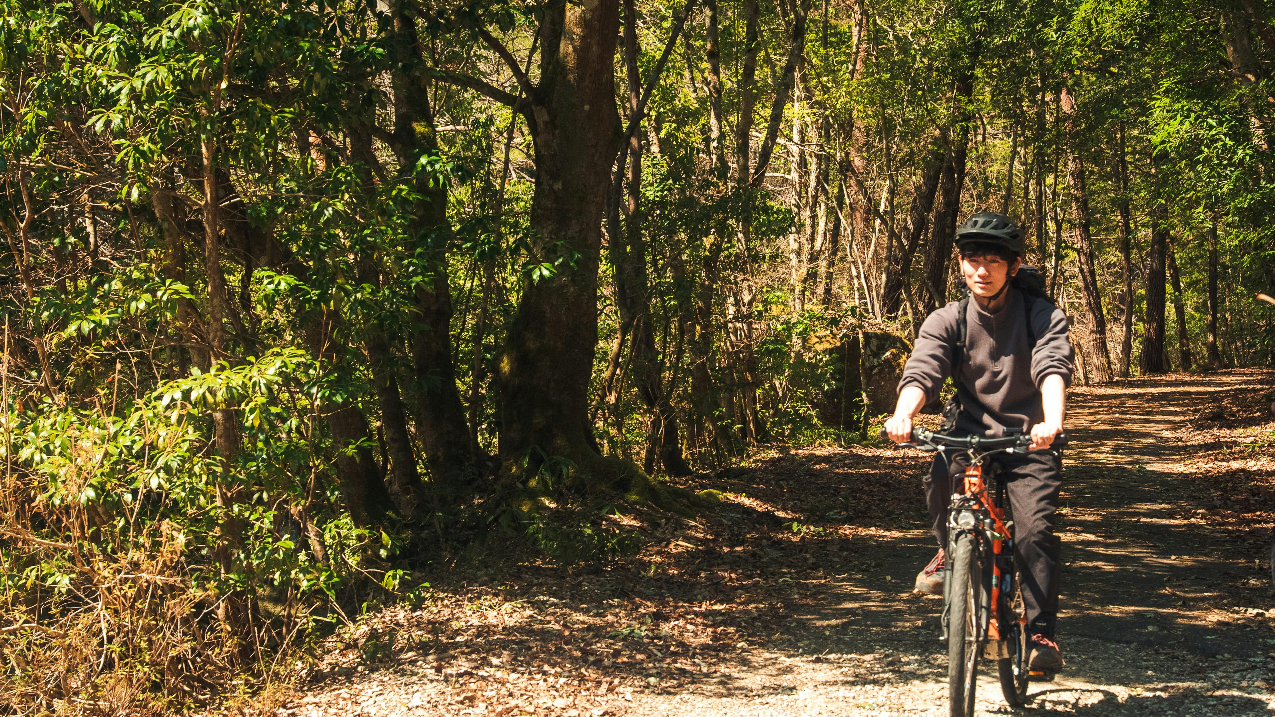 Inaka Food & E-Bike Tour