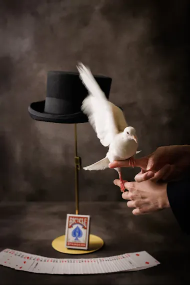 Magic Show and Cocktails