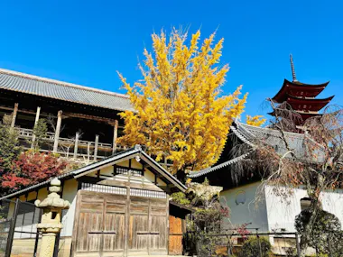 Hiroshima and Miyajima Tour