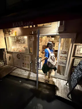 Private Osaka Food Tour