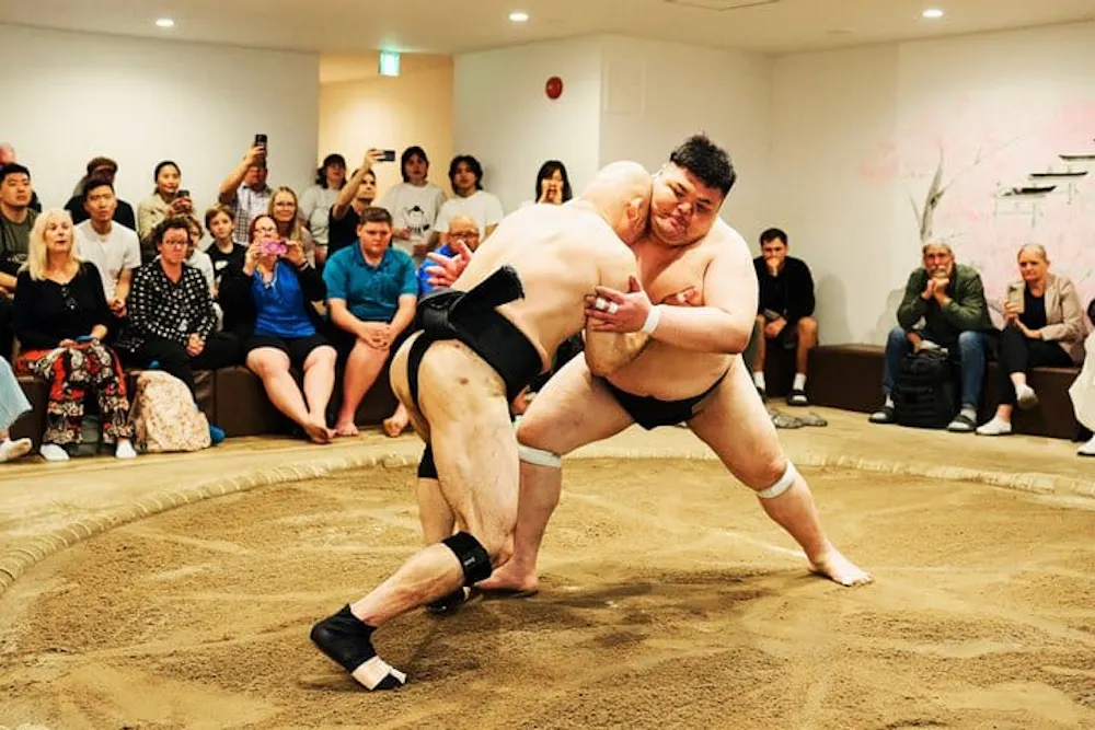 Osaka Sumo Experience