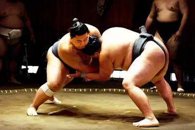 Osaka Sumo Experience