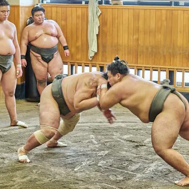 Sumo Morning Practice Viewing Tour Sumo Morning Practice Viewing Tour