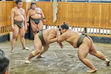 Sumo Morning Practice Viewing Tour