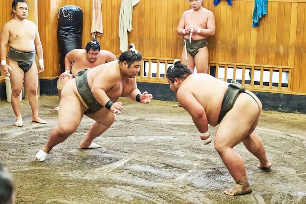 Sumo Morning Practice Viewing Tour