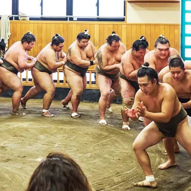 Sumo Morning Practice Viewing Tour Sumo Morning Practice Viewing Tour